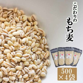 【ふるさと納税】 岩手県産 もち麦 はねうまもち 2kg (500g×4袋) ／ もちむぎ 雑穀 雑穀米 もち麦ご飯 ご飯 ごはん 麦ごはん 麦ご飯 お粥 おかゆ 主食 混ぜるだけ 混ぜて炊くだけ 簡単 手軽 小分け ジッパー付き 農家直送 産地直送 岩手県 八幡平市 送料無料 十一代目藤助