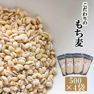 yӂ邳Ɣ[Łz 茧Y  ͂˂܂ 2kg (500g×4) ^ ނ G G   ͂ ͂    H 邾 Đ ȒP y 