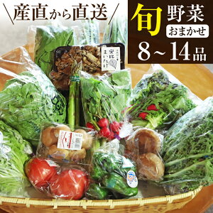 【ふるさと納税】 野菜セット おすすめ 旬野菜 ふるさと産直箱 大 (8〜14品) 選べる 発送回数 / 野菜 単発便 定期便 新鮮 新鮮野菜 季節野菜 野菜詰合せ 果物 詰合せ 採れたて おまかせ 詰め