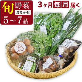 【ふるさと納税】 定期便 3ヶ月 ふるさと産直箱(小) 5〜7品 ／ 採れたて 新鮮 野菜 野菜セット おまかせ 詰合せ 詰め合わせ セット 果物 フルーツ 加工品 山菜 厳選 やさい 季節 おたのしみ 産地直送 人気 食材 旬 お取り寄せ 東北 あすぴーて 八幡平市 岩手県 送料無料