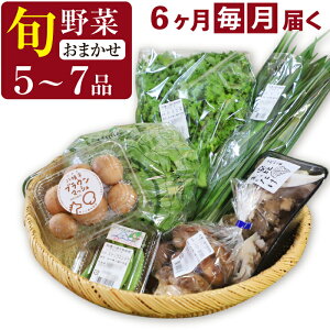 �y�ӂ邳�Ɣ[�Łz ��؃Z�b�g �������� �{��� �ӂ邳�ƎY���� �� (5�`7�i) �I�ׂ� ������ �^ ��� �P���� ����� �V�N �V�N��� �G�ߖ�� ��؋l���� �ʕ� �l���� �̂ꂽ�� ���܂��� �l�ߍ�