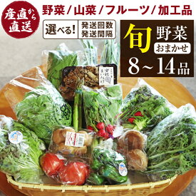 【ふるさと納税】 野菜セット おすすめ 旬野菜 ふるさと産直箱 大 (8〜14品) 選べる 発送回数 ／ 野菜 単発便 定期便 新鮮 新鮮野菜 季節野菜 野菜詰合せ 果物 詰合せ 採れたて おまかせ 詰め合わせ やさい 加工品 岩手県産 産地直送 あすぴーて 八幡平市 岩手県 送料無料