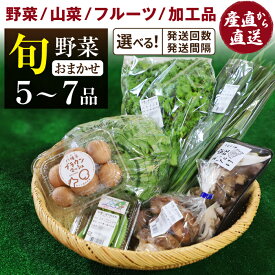 【ふるさと納税】 野菜セット おすすめ 旬野菜 ふるさと産直箱 小 (5〜7品) 選べる 発送回数 ／ 野菜 単発便 定期便 新鮮 新鮮野菜 季節野菜 野菜詰合せ 果物 詰合せ 採れたて おまかせ 詰め合わせ やさい 加工品 岩手県産 産地直送 あすぴーて 八幡平市 岩手県 送料無料