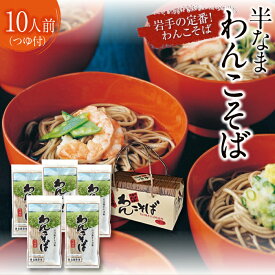 【ふるさと納税】北舘製麺 半なま わんこそば 10人前 (KW-B) ／ つゆ付き めんつゆ つゆ そばつゆ わんこ蕎麦 ソバ そば 半生蕎麦 石臼挽き 贈答 ギフト お中元 お歳暮 手土産 名物 ご当地グルメ 盛岡三大麺 年越し 正月 おみやげ お土産 箱入り 岩手県 八幡平市 送料無料