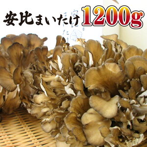 yӂ邳Ɣ[Łz  茧Y ܂ 劔 1.2kg ^ ܂  ܂ }C^P ̂ X` ݂` ݂ VՂ ĂՂ ϕ z uߕ \e[  