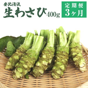 yӂ邳Ɣ[Łz 茧Y 킳 R 䐴R 킳 Iׂe 100g 200g 300g 400g Iׂ锭 Pցi1j 3 ^ VN R Tr  Tr   aH