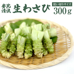 yӂ邳Ɣ[Łz 茧Y 킳 R 䐴R 킳 g؂TCY Iׂe 100g 200g 300g ^  R Tr Tr   h Ԃ g؂  ~j VN 