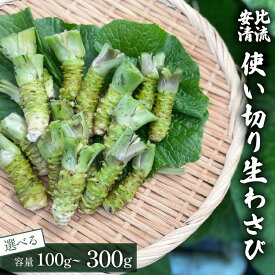 【ふるさと納税】 岩手県産 わさび 山葵 安比清流山葵園 生わさび 使い切りサイズ 選べる容量 100g 200g 300g ／ 生 生山葵 生ワサビ ワサビ 調味料 薬味 辛味 小ぶり 使い切り 小さめ ミニ 新鮮 肉の薬味 魚の薬味 そばの薬味 産地直送 おすすめ 岩手県 八幡平市 送料無料