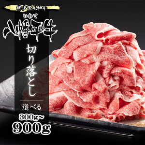 yӂ邳Ɣ[Łz јa    ؂藎Ƃ 300g 600g 900g ^ H    r[t Y a   uh  ƒp p d ē Ă ₫ɂ 