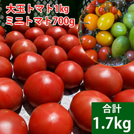 【ふるさと納税】 岩手県産 トマト 詰め合せ 大玉1kg & ミニトマト700g 計1.7kg ／とまと 大玉 ミニトマト ミディトマト 夏野菜 旬野菜 新鮮 詰合せ 野菜 食べ比べ 季節限定 期間限定 セット 人気 美味しい おすすめ 岩手県 八幡平市 送料無料 産地直送 農家直送 田村和大