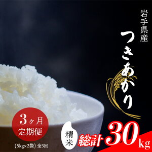 【ふるさと納税】 【令和7年産】【先行予約】 2025年産 岩手県産 米 こめ お米 精米 選べる 発送回数 1回 3回 6回 容量 5kg 10kg つきあかり / 白米 白飯 ご飯 ごはん おこめ ライス 単発便 定期便