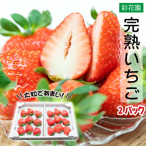 �y�ӂ邳�Ɣ[�Łz �C�`�S � ���n �嗱 ������ 2�p�b�N �g�ق��� �����ق̂� ������� 3�킩��i�ށE���͂��܂��� �^ �X�g���x���[ �Â� �傫�� ���� �v���[���g ���蕨 �M�t�g ������ �ʕ�