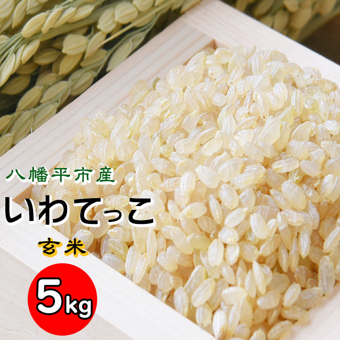 楽天市場】【ふるさと納税】いわてっこ 玄米 5kg 1袋 ／ せの畑 米