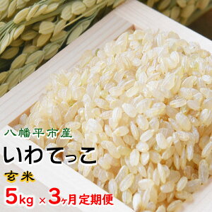 yӂ邳Ɣ[Łz yߘa7NYzys\z 2025NY 茧Y     Iׂ e 5kg10kg  1 P 3  Ă ^ ܂  ͂  CX Y