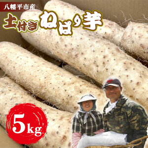 yӂ邳Ɣ[Łz R  茧Y yt ˂΂ 5kg Y_ ^ ˂΂肢   Ȃ R ܂ ܈ _ƒ Yn Ƃ Ƃ낲 т̂Ƃ т