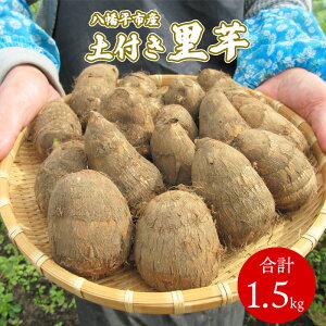 yӂ邳Ɣ[Łz y2025N10{Jn\z 茧Y  Ƃ yt   1.5kg ^  TgC yt  { VN Ԍ Gߌ ؗ  ϕ  X` ݂