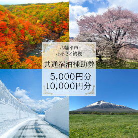 【ふるさと納税】 宿泊 選べる 八幡平市共通宿泊補助券（10000円相当 5000円相当） ／ 宿泊補助券 補助券 チケット 岩手県 八幡平市 八幡平 安比高原 安比 ホテル ペンション 民宿 キャンプ グランピング 温泉 泊まる 紅葉 春 夏 秋 冬 シーズン 家族 旅行 おすすめ 送料無料