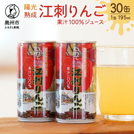 【ふるさと納税】 陽光熟成 江刺りんごジュース (195ml×30缶) 江刺産サンふじ使用 ストレート果汁100％ 缶ジュース 水分補給 江刺りんご サンふじ りんご 林檎ジュース アップルジュース ストレート 飲み切り フレッシュ 缶 ジュース 飲料 [A0048]