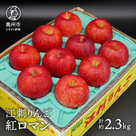 【ふるさと納税】数量限定 江刺りんご 紅ロマン 2.3kg（8～11玉）【8月下旬以降お届け】フルーツ 林檎 離島配送不可 [AQ021]