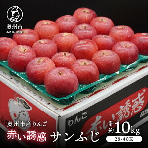 yӂ邳Ɣ[Łz BsY ԂUfuTӂv10kg 28-40 Di t[c ʕ 1 Ԍ ʌ [AQ080]