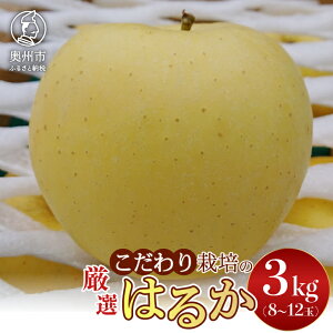 yӂ邳Ɣ[Łz yX^[t@[z ͔| ͂邩 Ii 3kg(8`12) Ԍ ʌ  ь t[c Yn p 蕨 yY 茧 BsY [AY002]