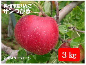 yӂ邳Ɣ[Łz yX^[t@[z ͔| T Ii 3kg 茧BsY Yn t[c zs [AY005]