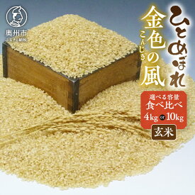 【ふるさと納税】 高級米食べ比べ 令和5年産 岩手県奥州市産 ひとめぼれ 金色の風 玄米 選べる内容量 4kg(各2kg) 10kg(各5kg) 【7日以内発送】 [AC037]