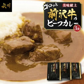 【ふるさと納税】 前沢牛がごろっと入っているビーフカレー 3食入り レトルト 詰め合わせ [ME014]