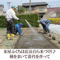 【ふるさと納税】人気沸騰中!奥州市産極上のお米ひとめぼれ20kg