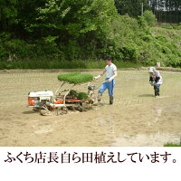 【ふるさと納税】人気沸騰中!奥州市産極上のお米ひとめぼれ20kg