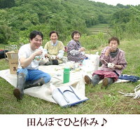 【ふるさと納税】人気沸騰中!奥州市産極上のお米ひとめぼれ20kg