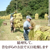 【ふるさと納税】人気沸騰中!奥州市産極上のお米ひとめぼれ20kg
