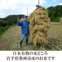 【ふるさと納税】人気沸騰中!奥州市産極上のお米ひとめぼれ20kg