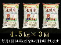 【ふるさと納税】☆全3回お届け頒布☆平成29年産金芽米ひとめぼれ4.5kg