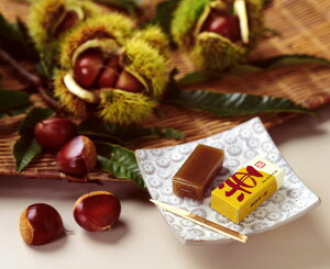 yӂ邳Ɣ[Łz Gߌ Jr ЂƂI 24 I Y 悤 aَq XC[c Ԍ 蕨 Mtg  퉷 ̂Ή [F0008]