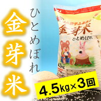 【ふるさと納税】☆全3回お届け頒布☆平成29年産金芽米ひとめぼれ4.5kg