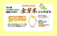 【ふるさと納税】☆全3回お届け頒布☆平成29年産金芽米ひとめぼれ4.5kg