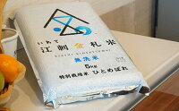 【ふるさと納税】☆全6回お届け頒布☆江刺金札米ひとめぼれ無洗パック米5kg×6回岩手県奥州市産