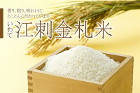 【ふるさと納税】☆全6回お届け頒布☆江刺金札米ひとめぼれ無洗パック米5kg×6回岩手県奥州市産