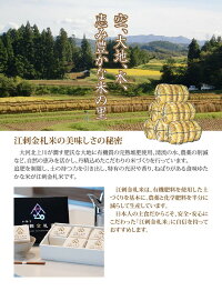 【ふるさと納税】☆全6回お届け頒布☆江刺金札米ひとめぼれ無洗パック米5kg×6回岩手県奥州市産