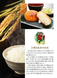 【ふるさと納税】☆全6回お届け頒布☆江刺金札米ひとめぼれ無洗パック米5kg×6回岩手県奥州市産