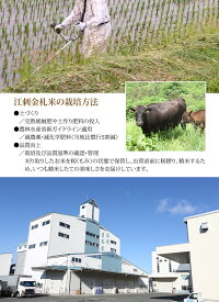 【ふるさと納税】☆全6回お届け頒布☆江刺金札米ひとめぼれ無洗パック米5kg×6回岩手県奥州市産