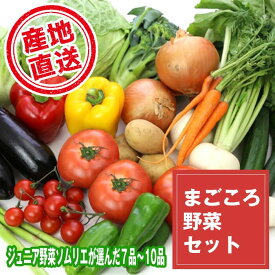 【ふるさと納税】野菜 やさい ヤサイ セット 滝沢まごころ野菜セット (7～10品) 果物 加工品 詰合せ 詰め合わせ 新鮮 美味しい 産直 チャグチャグ 旬 季節の野菜 地場産品 名産 ジュニア野菜ソムリエ 産地直送 【滝沢産業開発】 岩手県 滝沢市 送料無料