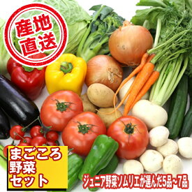【ふるさと納税】 野菜 おすすめ やさい セット 滝沢まごころ野菜セット (5～7品) 果物 加工品 詰合せ 詰め合わせ 新鮮 美味しい 産直 チャグチャグ 旬 季節の野菜 地場産品 特産 名産 ジュニア野菜ソムリエ 産地直送 産直直送 山菜 岩手県 滝沢市 送料無料 滝沢産業開発