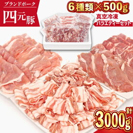 【ふるさと納税】 豚肉 四元豚 おすすめ ありすぽーく おまかせ バラエティ セット 総量3000g ／ 豚 ぶた 豚小間 豚バラ ロース モモ 肩ロース 小間切れ 切り落とし ヒレ 肉 真空パック トレーなし 送料無料 精肉 国産 ポーク 炒め物 焼肉 煮物 岩手県 滝沢市 仕送り