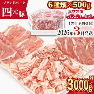 yӂ邳Ɣ[Łz ؓ l  肷ہ[ ܂ oGeB Zbg 3000g ^  Ԃ ؏ ؃o [X  [X Ԑ؂ ؂藎Ƃ q  ^pbN g[