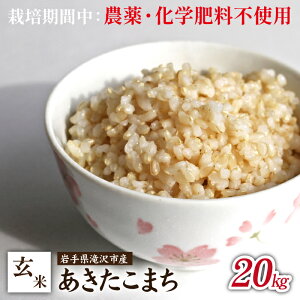 yӂ邳Ɣ[Łz ߘa7NY   ͔|Ԓ _sgp w엿sgp / 5kg 10kg 20kg  ܂ ЂƂ߂ڂ TTjVL ͂̂ Iׂ Y k R  