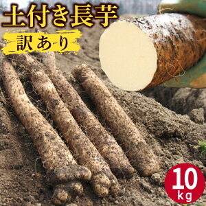 yӂ邳Ɣ[Łz ؂ĂϐFȂ 󂠂 yt   Iׂ 4kg 10kg / Ȃ    A 킯 4L 10L {s Ƃ R|   t H