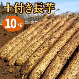 yӂ邳Ɣ[Łz ؂ĂϐFȂ yt   4kg 10kg Iׂ / Ȃ    4L 10L {s Ƃ R| R   t H  Nx