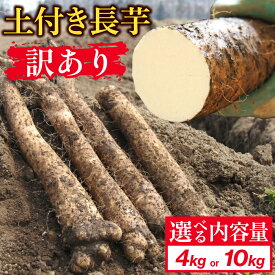 【ふるさと納税】 切っても変色しない 訳あり 土付き 長芋 おすすめ 選べる 4kg 10kg / ながいも 長いも いも 芋 訳アリ わけあり 4キロ 10キロ 滋養強壮 とろろ 山掛け 野菜 生野菜 春野菜 秋野菜 根菜 鮮度長持ち 常温発送 国産 岩手県 滝沢市 農家直送 産地直送 送料無料